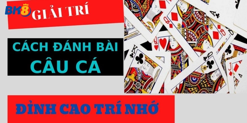 Tổng hợp bí kíp chơi bài câu cá cực hiệu quả tại BK8