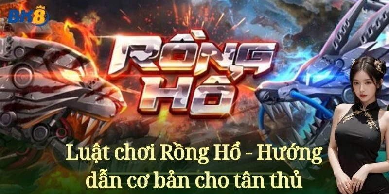 Luật chơi Rồng Hổ - Hướng dẫn cơ bản cho tân thủ
