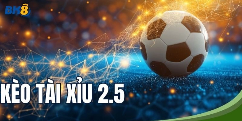 Ý nghĩa mức cược tài xỉu 2.5