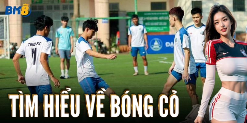 Tìm hiểu về Bóng Cỏ