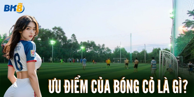 Bóng Cỏ – Cách Chơi Và Mẹo Đặt Cược Hiệu Quả Nhất Từ BK8