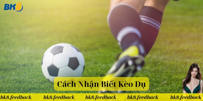Cách Nhận Biết Kèo Dụ có gì quan trọng