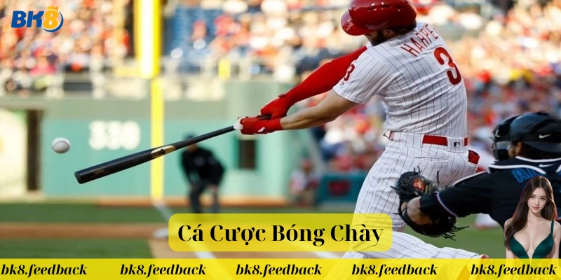 Cá Cược Bóng Chày: Cẩm Nang Toàn Diện Từ A-Z Cho Người Mới