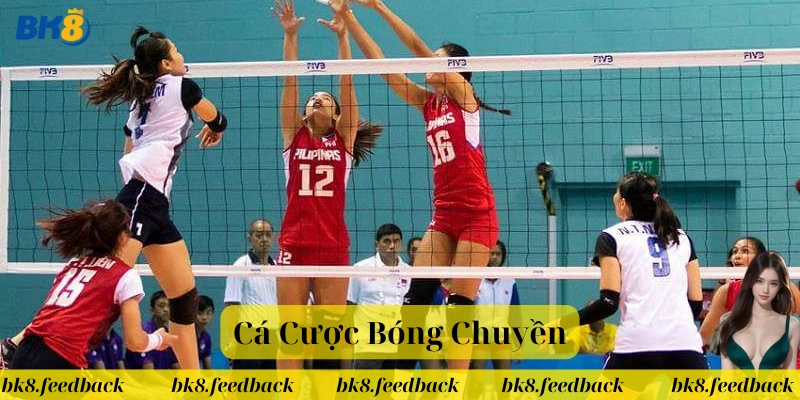 Cá Cược Bóng Chuyền – Chiến Lược Và Mẹo Hiệu Quả