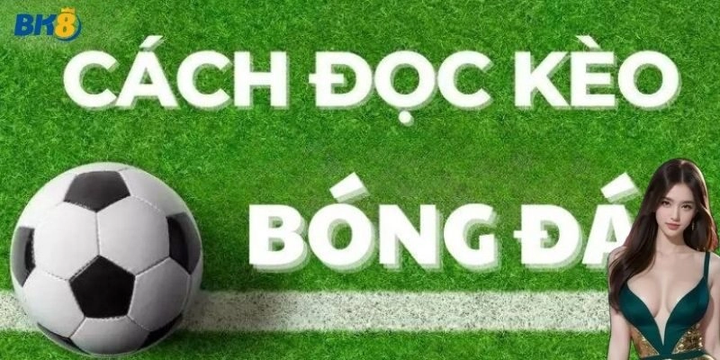 Cách đọc kèo bóng đá: Bí kíp chuẩn xác cho người chơi