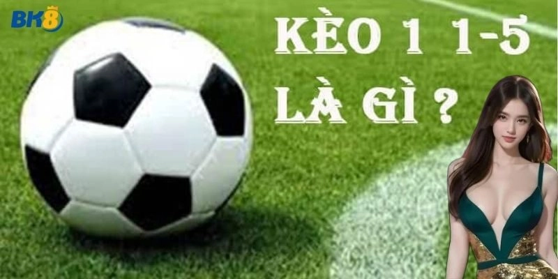 Kèo 1/1.5 Tại BK8 – Mẹo Bắt Kèo Hay Cùng Chuyên Gia Cá Cược!