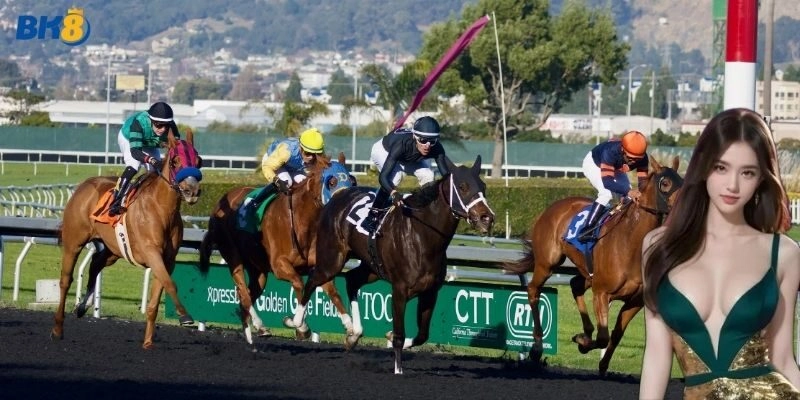 Cá Cược Đua Ngựa Tại BK8: Bí Quyết Làm Chủ Đường Đua Máu Lửa