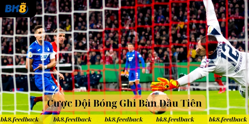 Các yếu tố ảnh hưởng