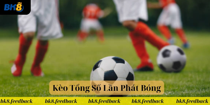 Những yếu tố ảnh hưởng