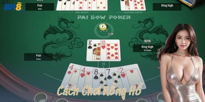 Những lưu ý khi chơi rồng hổ