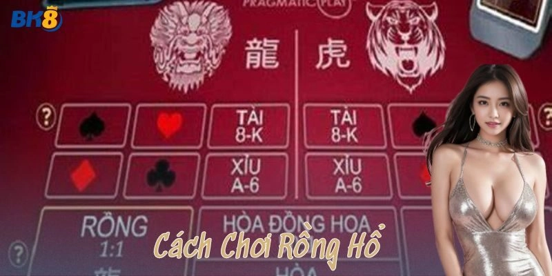 Ví dụ thực tế khi chơi rồng hổ