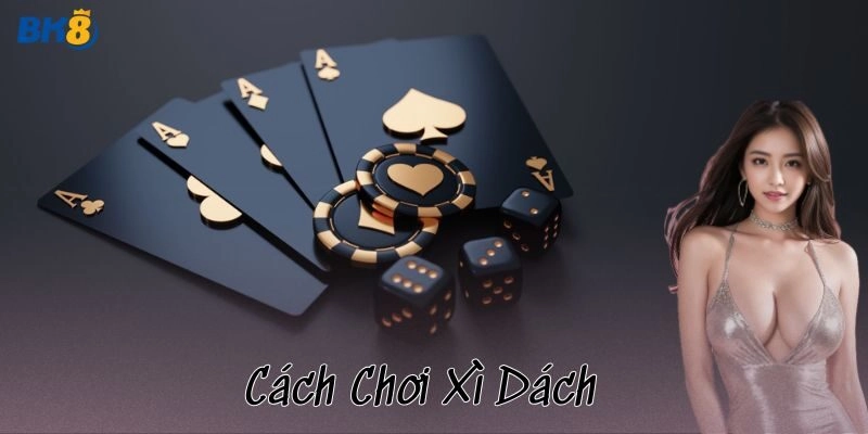 Cách chơi xì dách từ cơ bản đến mẹo đánh nâng cao